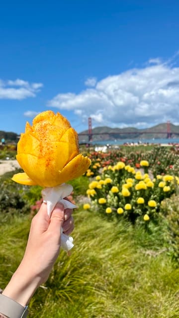 Picture of a hand holding a fresh mango in front of a field of flowers and the golden gate bridge