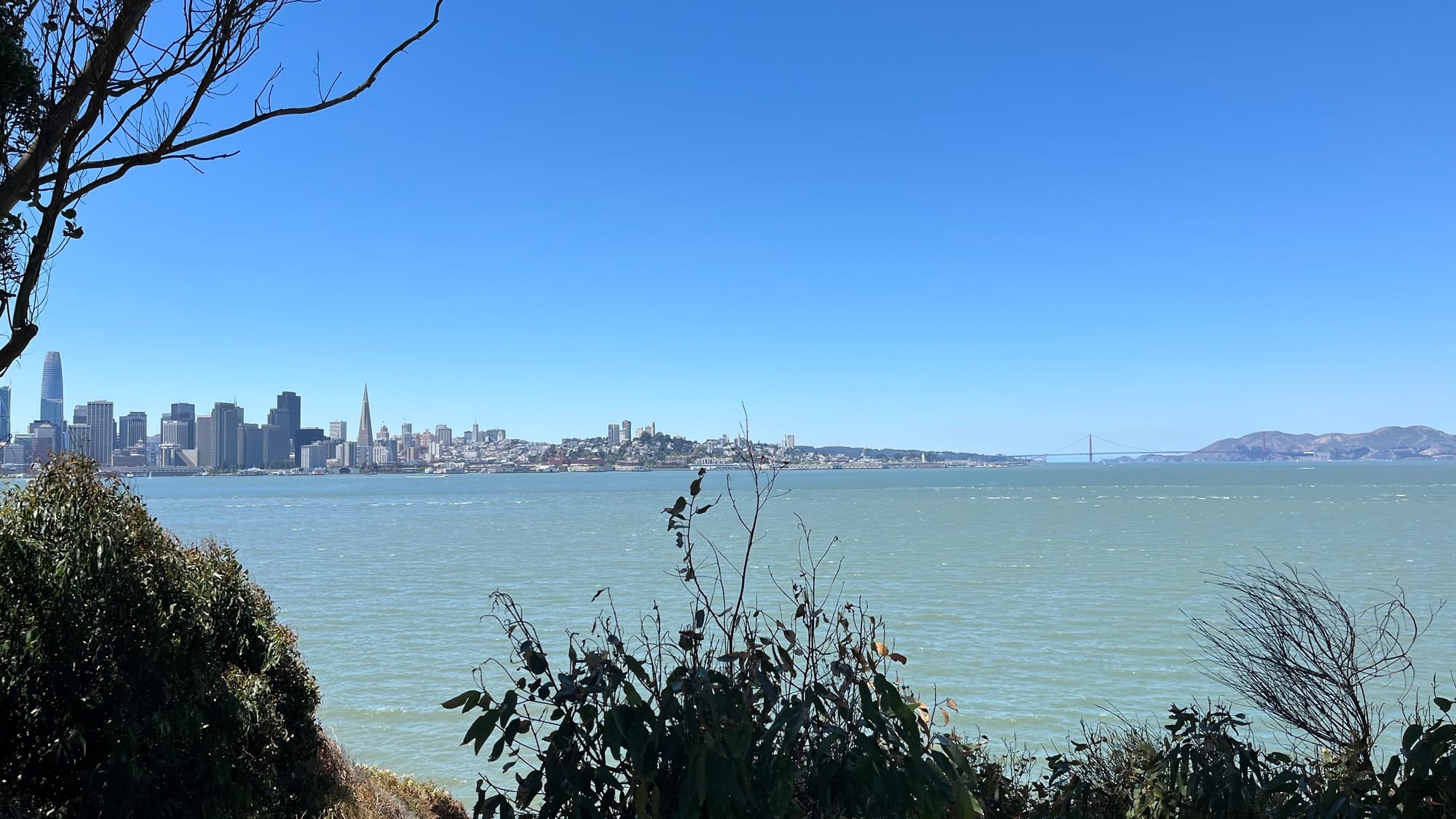 Picture of a the San Francisco skyline and ocean