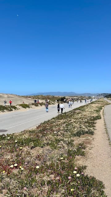 Picture of a park near the ocean with people walking