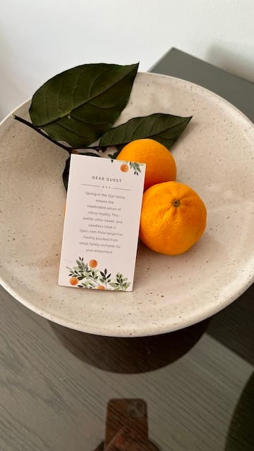 Picture of a bowl of tangerines
