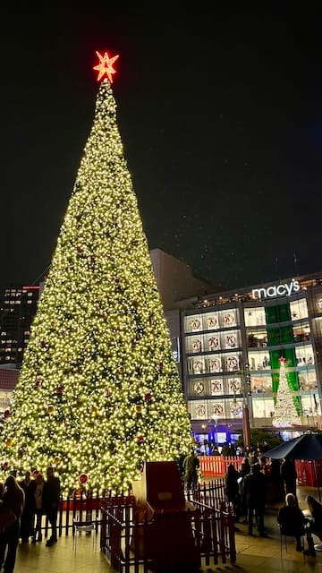 Picture of a lit up Christmas tree and the Macy's shopping center in the background